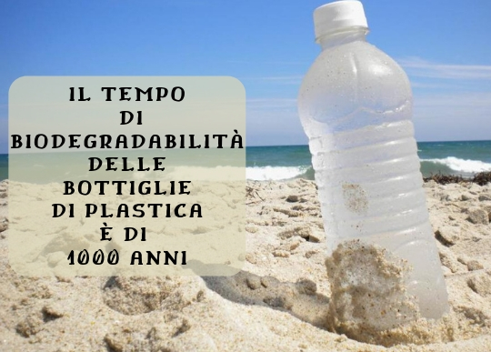 Biodegradabilita bottiglie di plastica.jpg